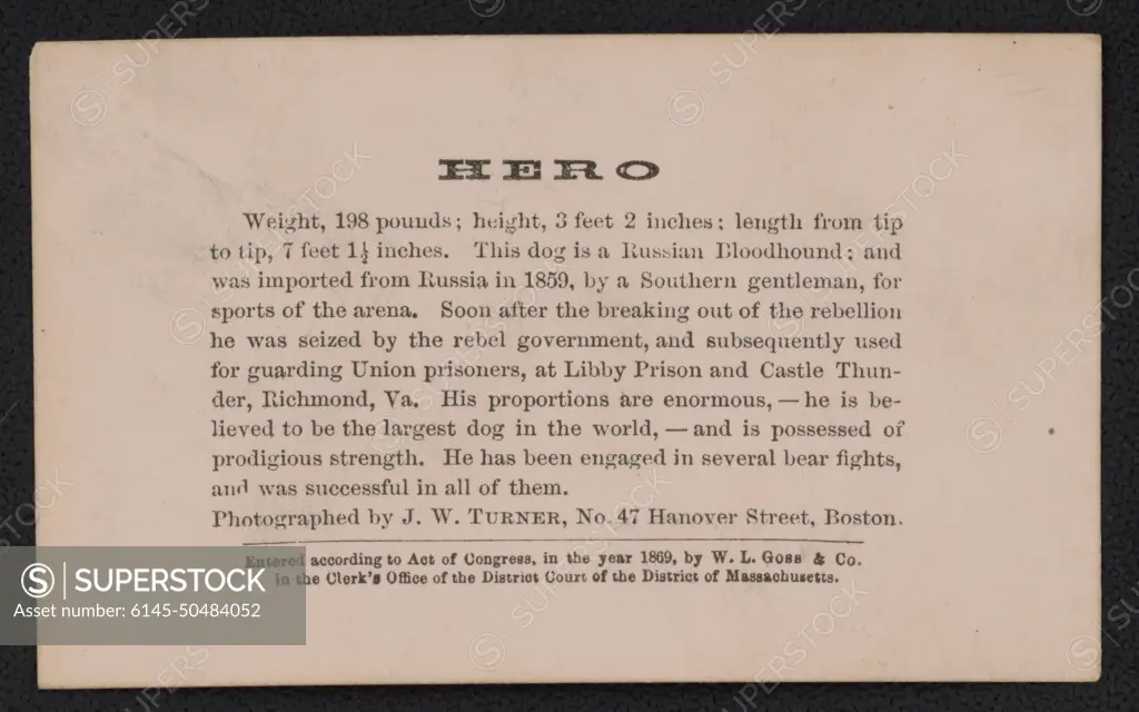 Hero, Russian Bloodhound, used for guarding Union prisoners at Libby Prison and Castle Thunder, Richmond, Virginia / Photographed by J.W. Turner, No. 47 Hanover Street, Boston.. Liljenquist Family Collection of Civil War Photographs , pp/liljpaper. Libby Prison, Castle Thunder Prison (Richmond, Va.) , Watchdogs, 1860-1870, United States, History, Civil War, 1861-1865, Animals, Confederate.