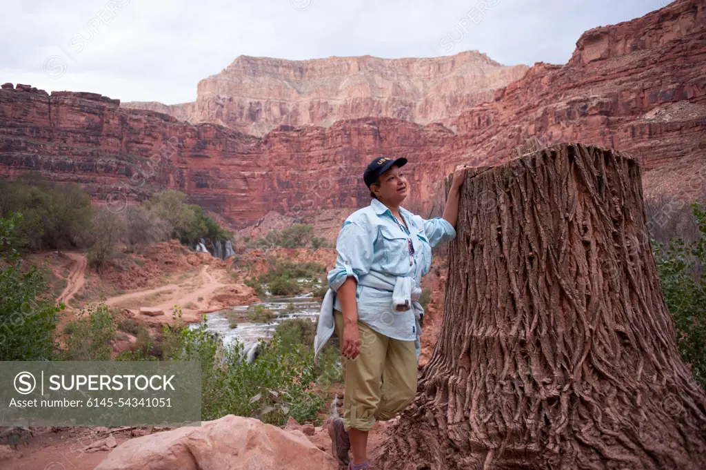 Office of the Administrator - Native Americans in Arizona - image of the Tohono O'odham Nation, Hualapai Tribe, Havasupai Indian Tribe, and the Havasupai Indian Reservation , Environmental Protection Agency