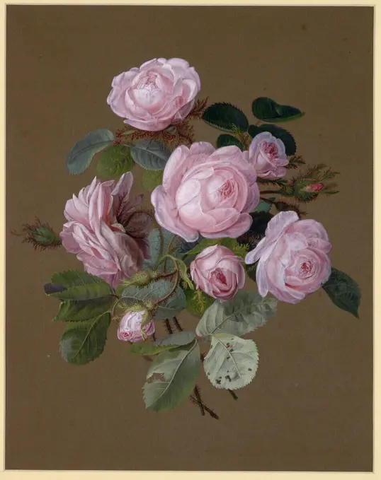 Ernst Moritz Gustav Tettelbach Rosa Rosen. Cover colors on brown paper; in places gloss increases 1833 , 1833