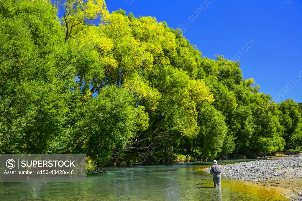 Fly Fishing in New Zealand is fun.