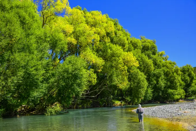 Fly Fishing in New Zealand is fun.