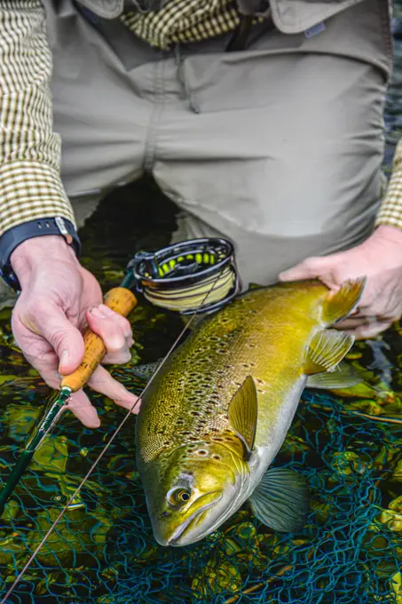 Fly Fishing in New Zealand is fun.