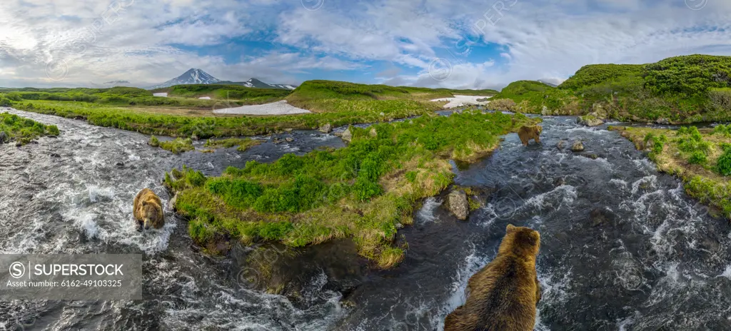 Aerial view of three bears fishing at Kambalnoe Lake, Kamchatka, Russia