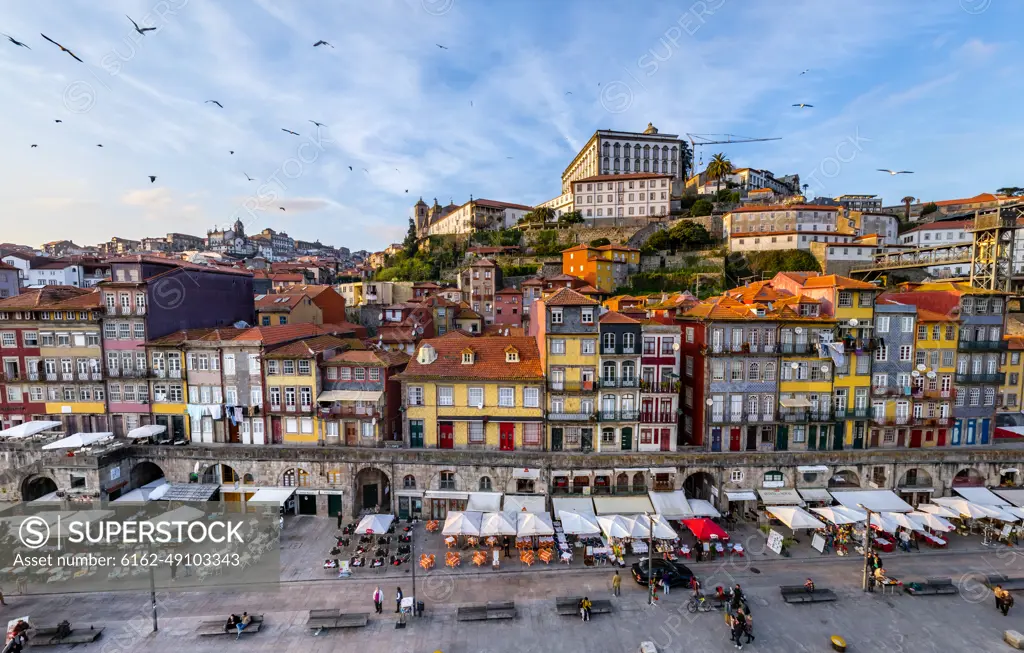 Aerial view of birds flying over Porto, Portugal