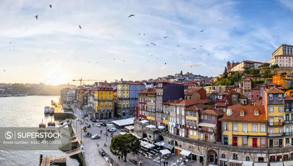 Aerial view of birds flying over Porto, Portugal