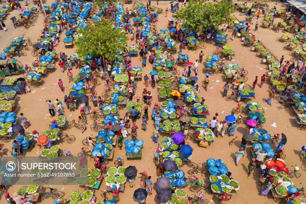 Shibganj, Bangladesh - 14 June 2019: Aerial view of a few people working at Kansat mango Bazar, the largest mango market in the world, Shibganj province, Bangladesh.