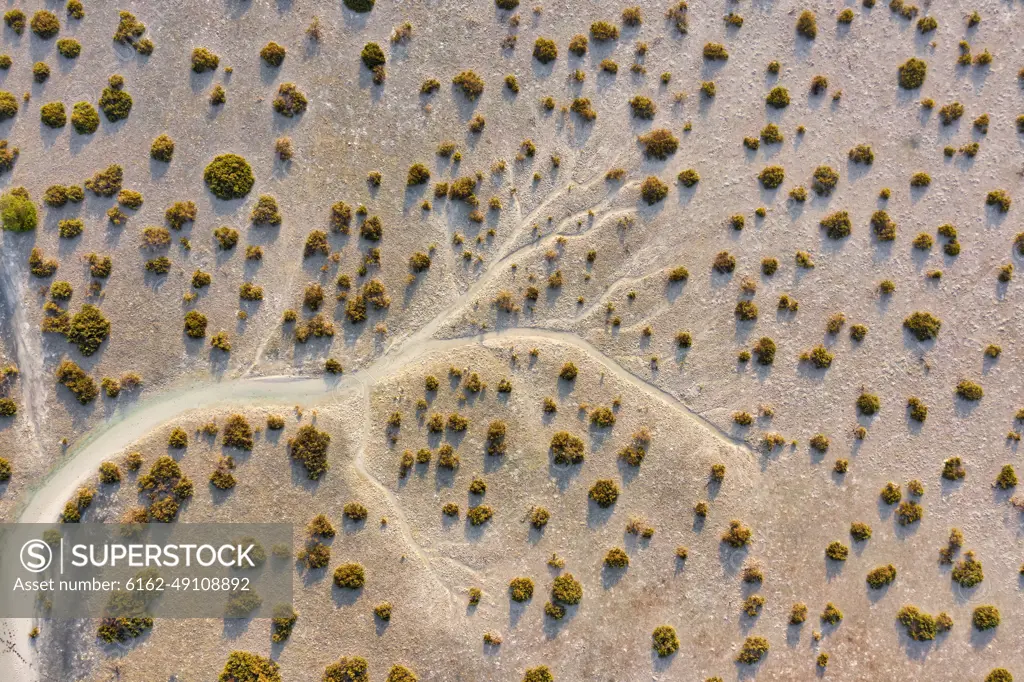 Aerial view of sand with vegetation Abu Dhabi, United Arab Emirates