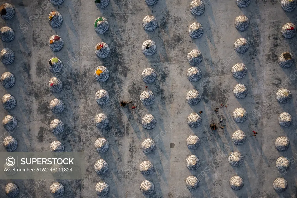 Aerial view of a rice field, Brahmanbaria, Chittagong province, Bangladesh.