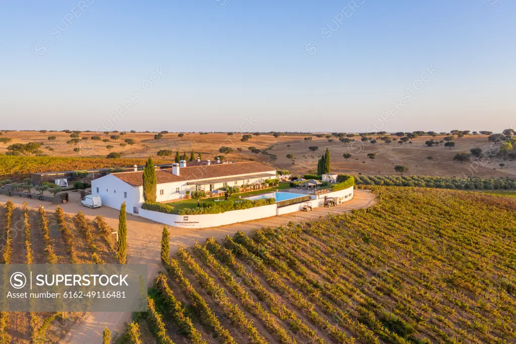 Aerial view of Vineyard estate, Albernoa, Portugal.