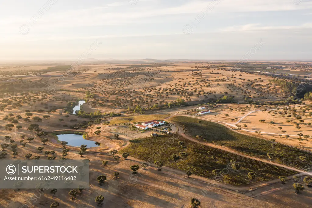 Aerial view of Vineyard estate, Albernoa, Portugal.