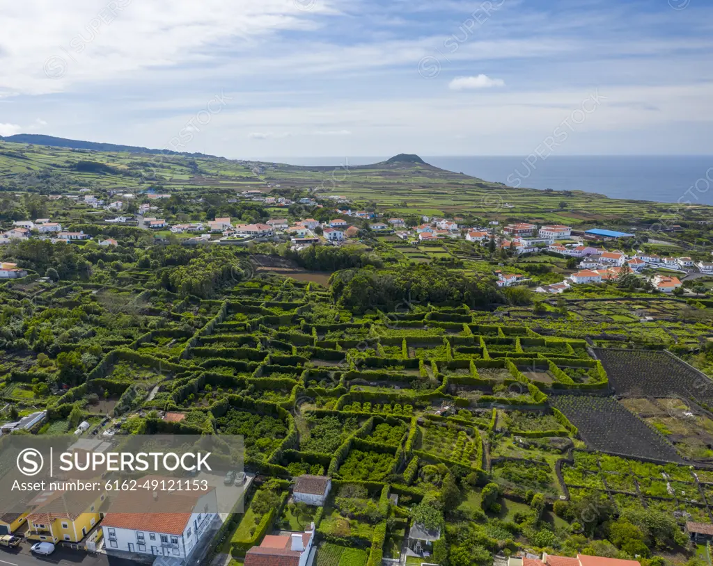 Aerial view of agricultural fields along the coastline near Biscoitos, Azores archipelago, Portugal.