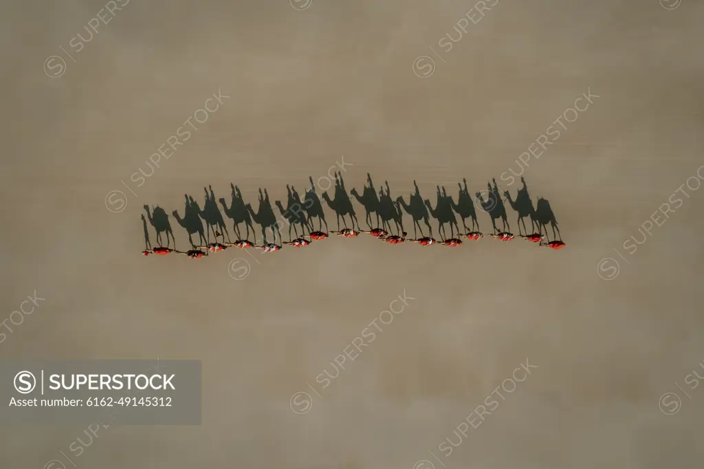 Aerial view of camels walking on a beach with people riding on their back that are casting shadows in the sand, Broome, Western Australia.