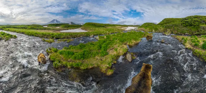 Aerial view of three bears fishing at Kambalnoe Lake, Kamchatka, Russia