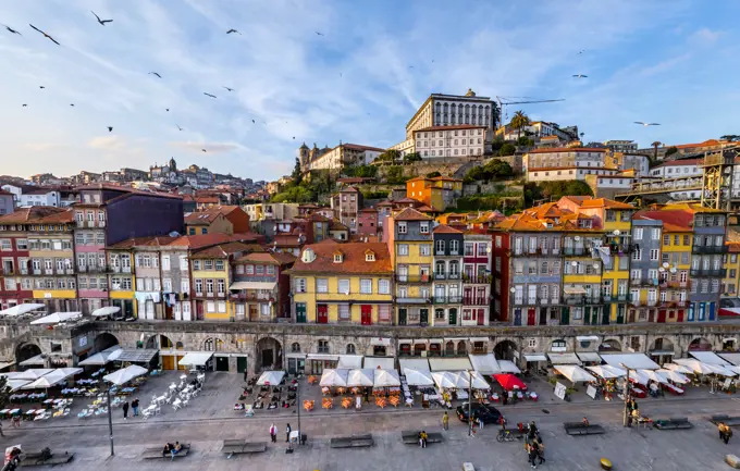 Aerial view of birds flying over Porto, Portugal