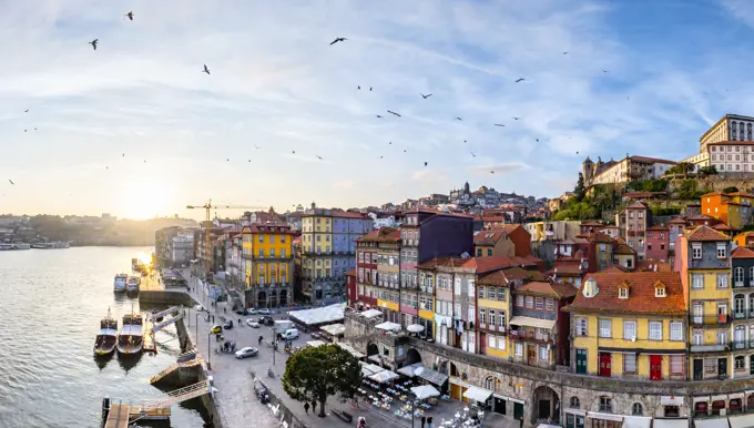 Aerial view of birds flying over Porto, Portugal