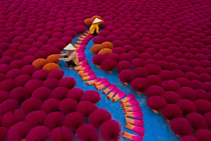 Aerial view of incense workers sits surrounded by thousands of incense sticks, where the sticks have been traditionally made for hundreds of years in Quang Phu Cau, Hanoi, Vietnam.