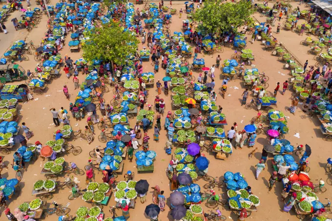 Shibganj, Bangladesh - 14 June 2019: Aerial view of a few people working at Kansat mango Bazar, the largest mango market in the world, Shibganj province, Bangladesh.