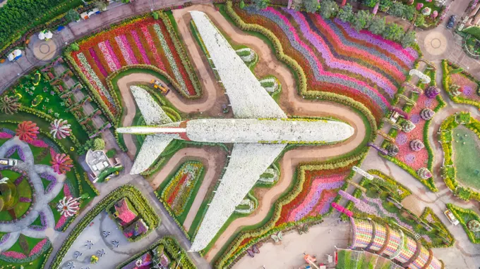 Aerial view of The unusual colorful Dubai Miracle Garden, United Arab Emirates.