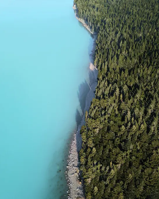 Aerial view of evergreen trees and glacial water at the edge of Lake Pukaki, Canterbury Region, South Island, New Zealand