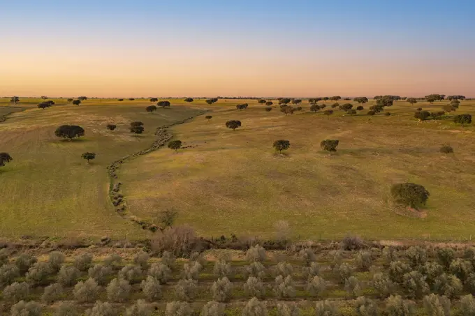 Aerial view of Albernoa countryside at sunset, Beja, Portugal.
