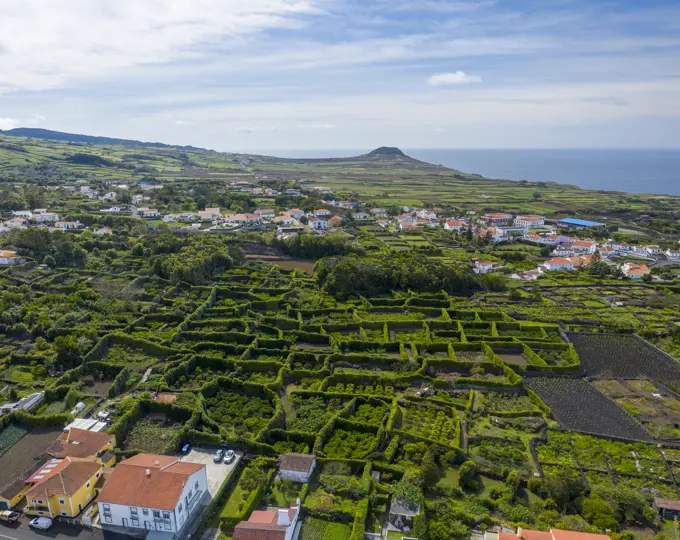 Aerial view of agricultural fields along the coastline near Biscoitos, Azores archipelago, Portugal.