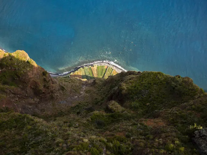 Aerial view of plantation along the coastline with cliffs, Madeira Island, Portugal..