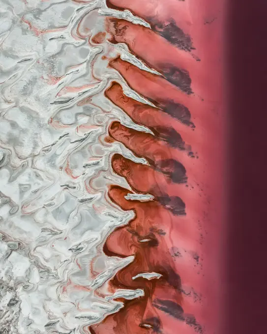 Aerial view of the abstract formations of salt by the banks of the Great Salt Lake seen pink only during some parts of the year in Utah, USA.