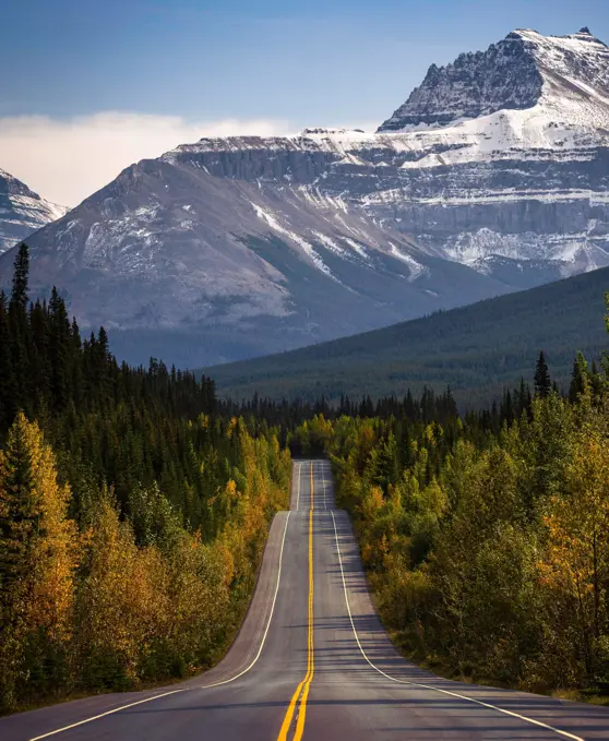 Image was taken on the Icefields Parkway, Alberta, Canada