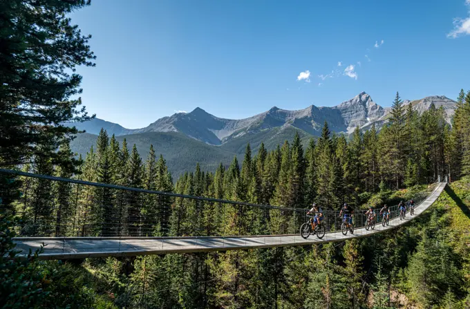 Group of mountain bikers riding along rope bridge, Blackshale Creek Suspension Bridge, High Rockies Trail, Alberta, Canada