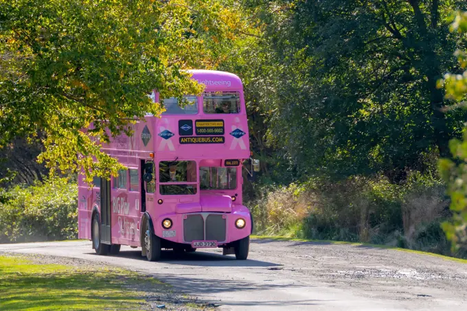 Saint John, NB, Canada - September 29, 2018: A pink double decker tour bus of a city tour. These buses offer tours of the city, mainly to cruise ship
