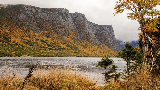 Gros Morne National Park in Newfoundland, Canada.