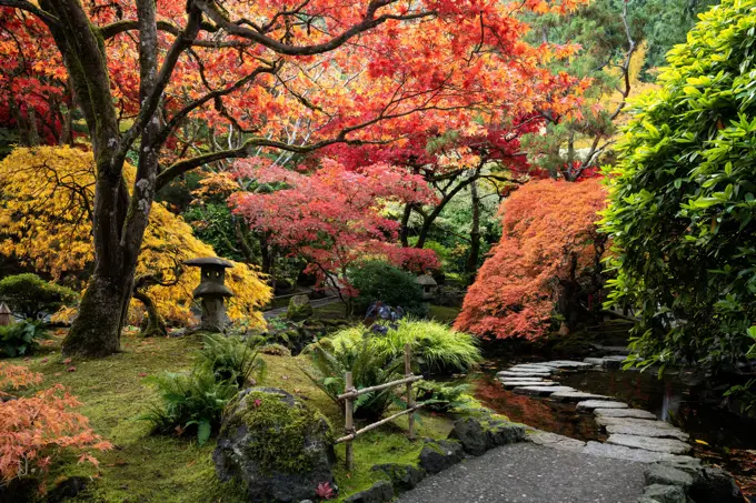 Colorful autumn Japanese maples in national historical site Butchart Gardens, Canada