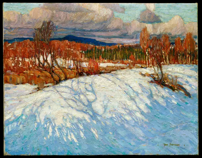 Tom Thomson - In Algonquin Park - 1914-1915