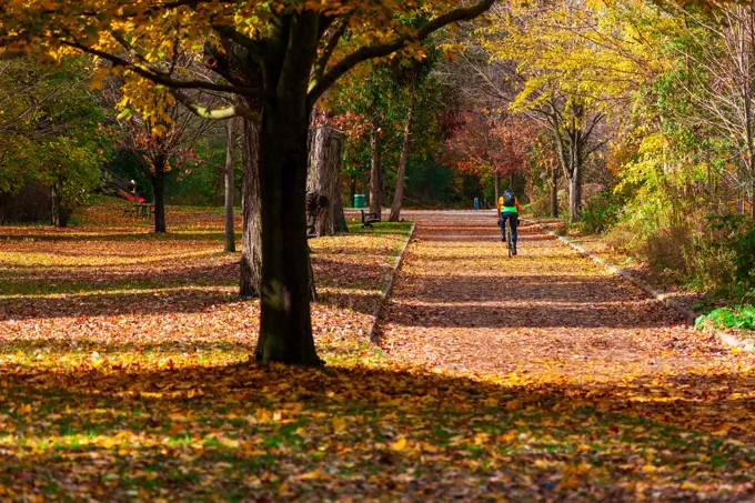 Mother Nature on full display as trees in Southwestern Ontario, Canada signal the change of seasons from summer to autumn.