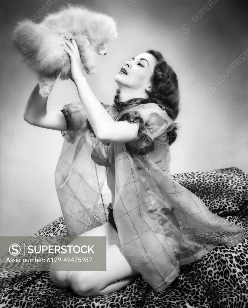 1950S Young Woman Wearing Sexy Lingerie Kneeling On Leopard Skin