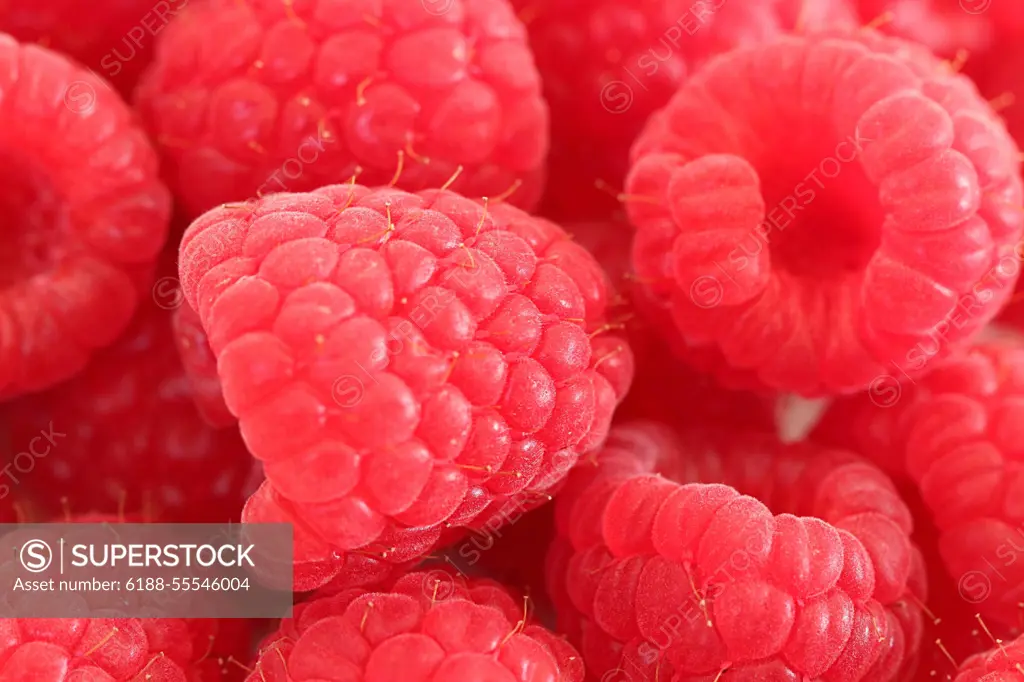 Himbeeren Schöne rote Himbeeren als Nahaufnahme Copyright: xZoonar.com/AndreasxNaumannx 10307912