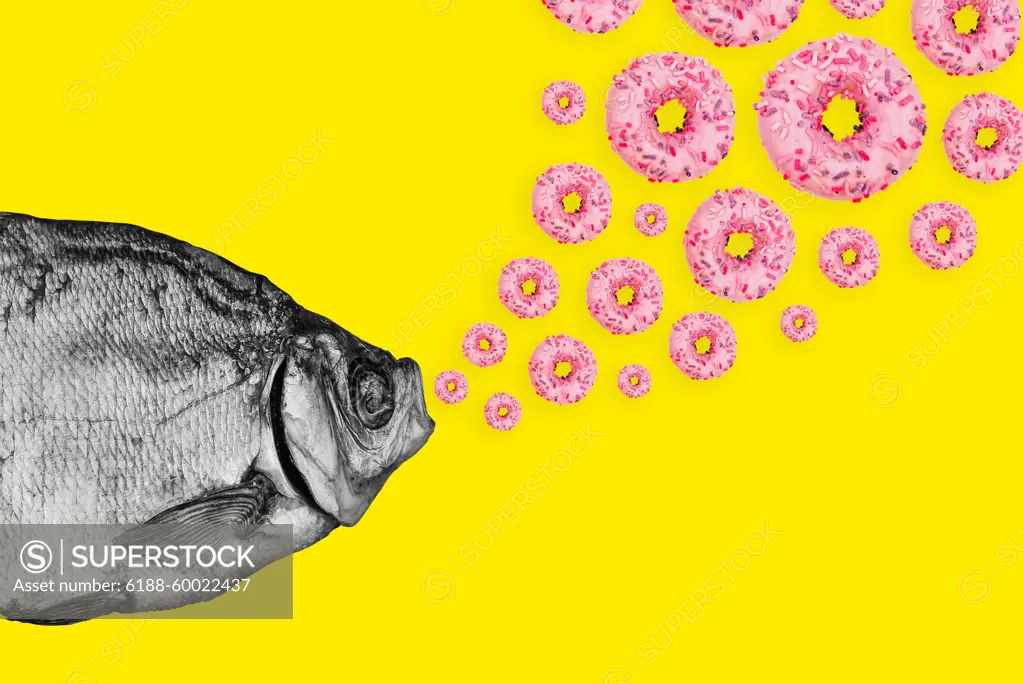 Concept fish and donuts on a colored background. Modern art collage. Concept fish and donuts on a colored background. Modern art collage Copyright: xZoonar.com/BrehovxAntonx 15025640