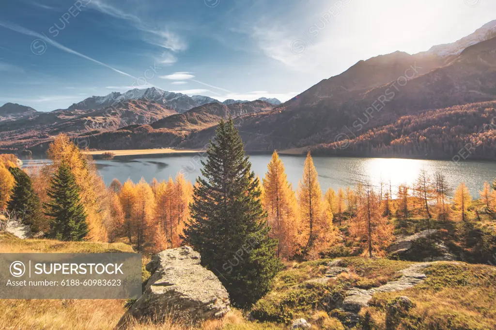 Typische Herbstlandschaft im Hochgebirge der Schweizer Alpen *** typical Autumn Landscape at High mountains the Swiss Alps 1104311372