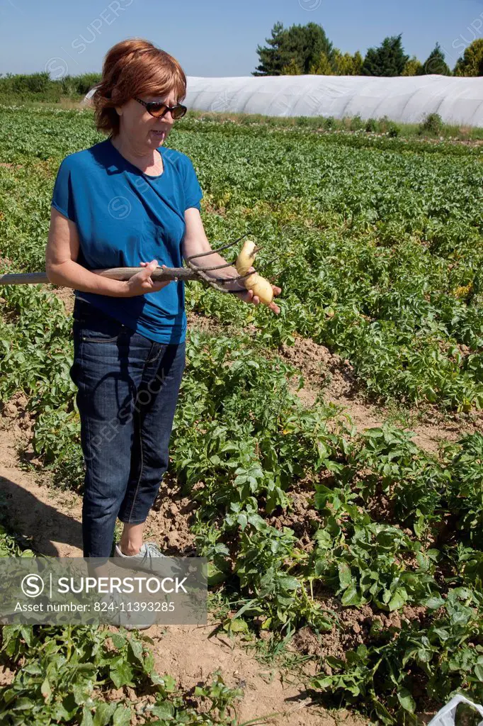 Pick-your-own fruit and vegetable farm.