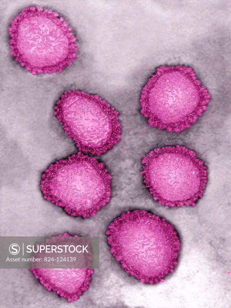 Coronavirus. Image produced using high-dynamic-range imaging (HDRI) from an image taken with transmission electron microscopy. Viral diameter ranges f...