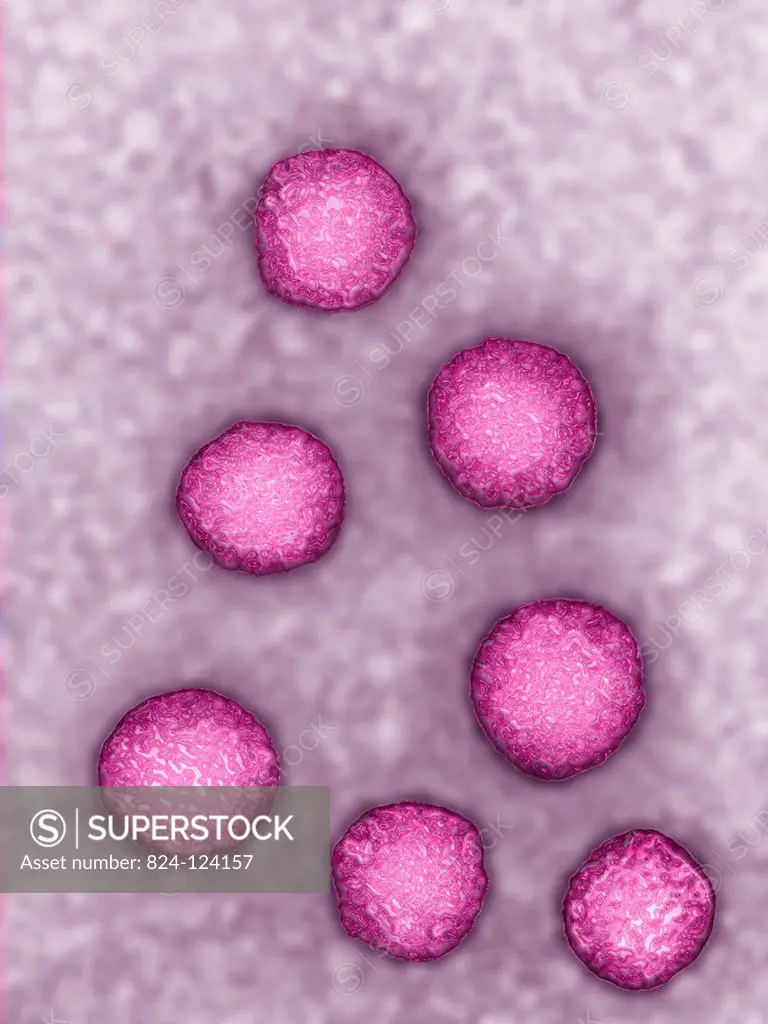 Hepatitis E virus (HEV). Image produced using high-dynamic-range imaging (HDRI) from an image taken with transmission electron microscopy. Viral diame...