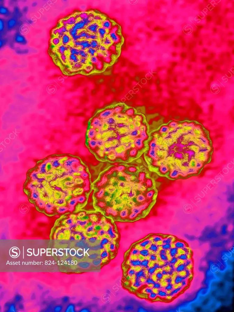 Human papilloma virus (HPV). Image produced using high-dynamic-range imaging (HDRI) from an image taken with transmission electron microscopy. Viral d...