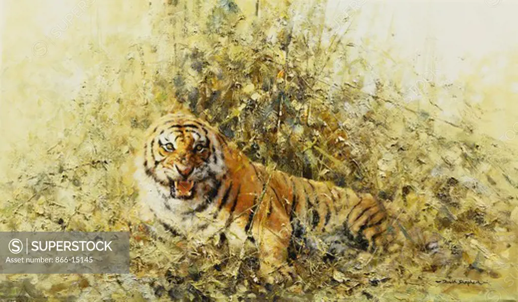 A Tiger in the Bush. David Shepherd (b.1931). Oil on canvas. Dated 1979. 50.7 x 86.4cm