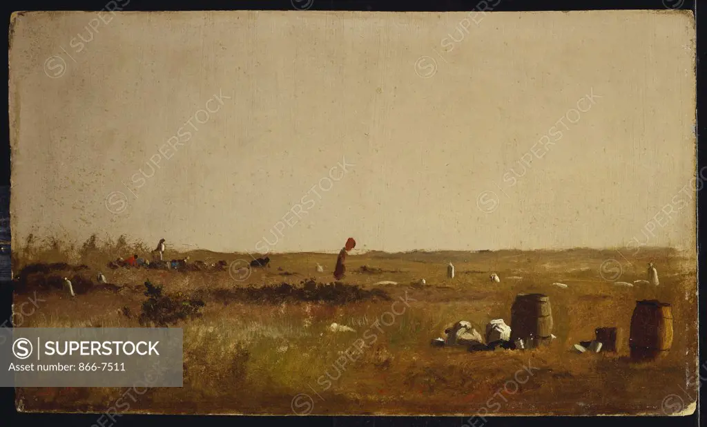 Study For Cranberry Pickers. Jonathan Eastman Johnson (1824-1906). Oil On Canvas.