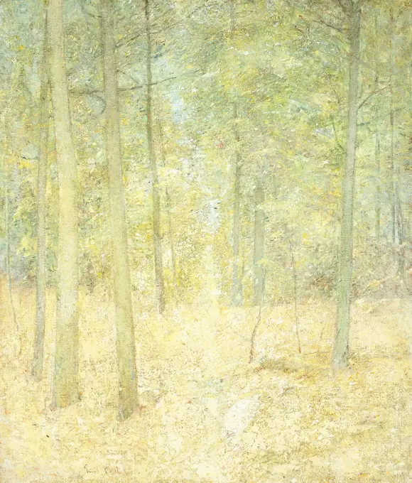 A Woodland Scene. Soren Emil Carlsen (1853-1932). Oil on canvas. 89 x 76cm.