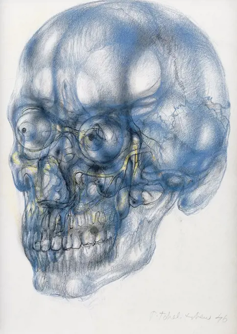 Skull: Interior Landscape. Pavel Tchelitchew (1898-1957). Coloured chalks with pen and black inks on paper. Executed in 1946. 35 x 25cm.