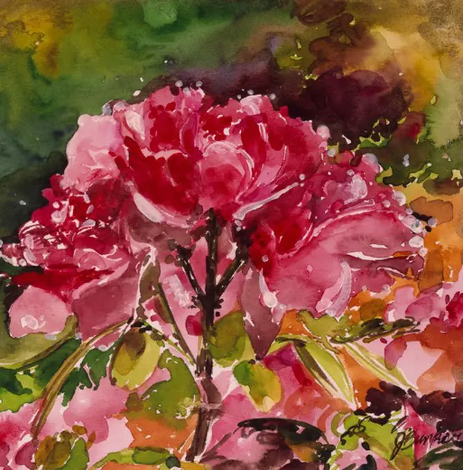 A Giverny Rose by John Bunker, watercolor, 2000