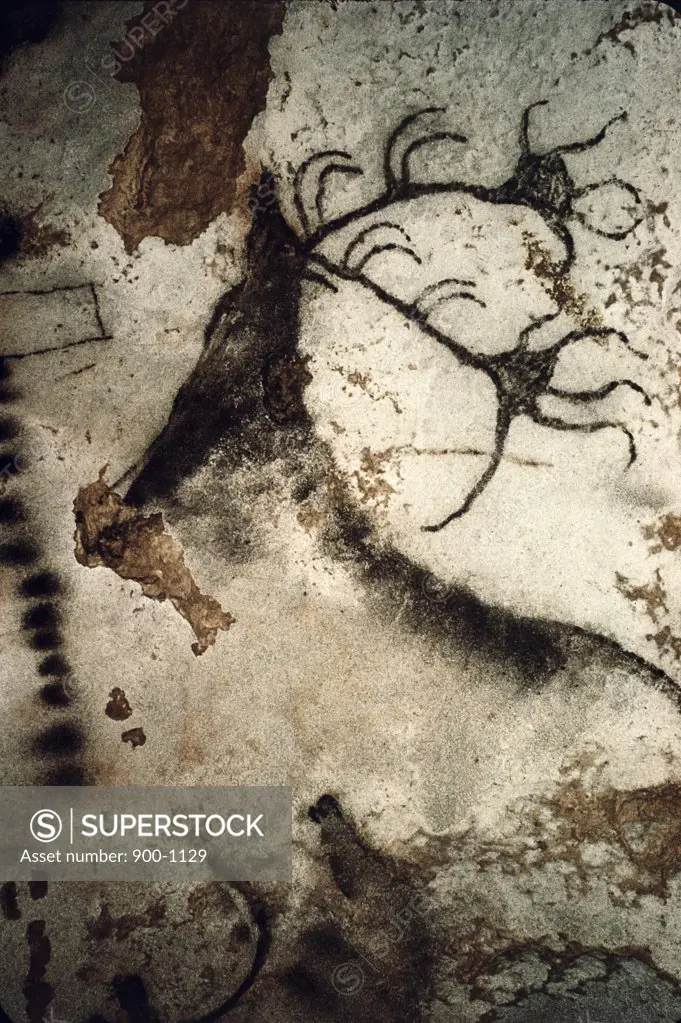 Great Stag Prehistoric Art Lascaux Caves, France 