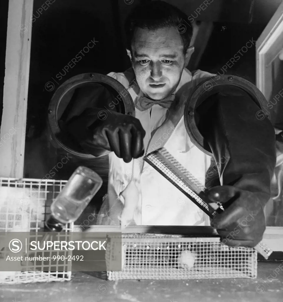 Researcher conducting experiments on a mouse