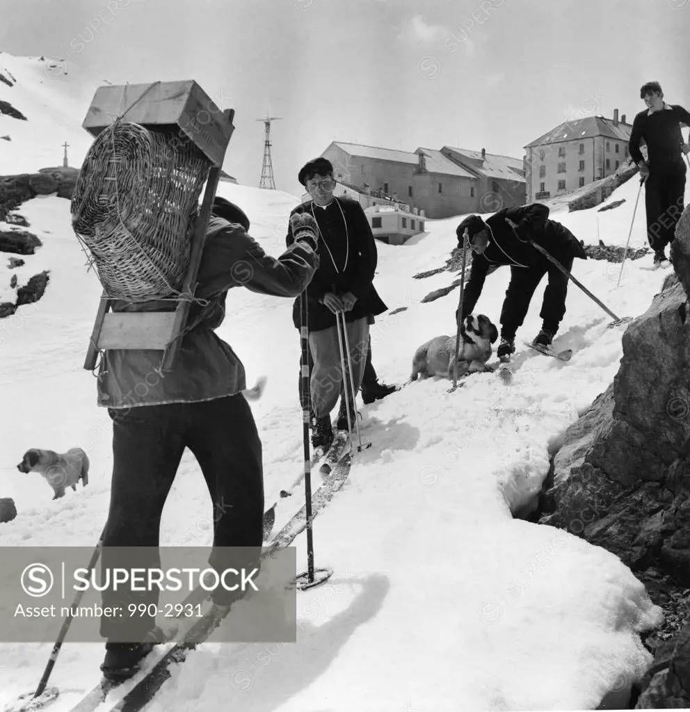 Priests Walking on ski with St. Bernard's dogs